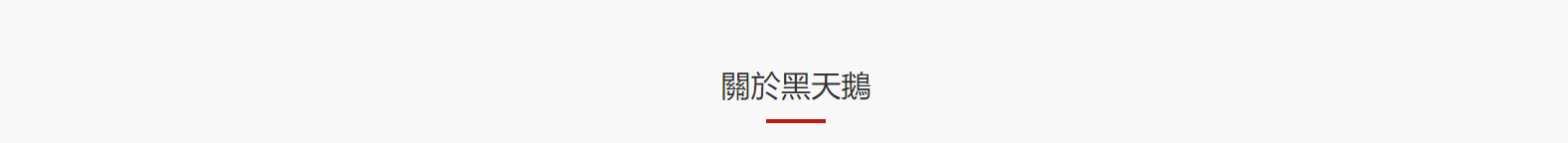 深圳網(wǎng)站設(shè)計(jì)公司_高端定制設(shè)計(jì)網(wǎng)站_營(yíng)銷型網(wǎng)站設(shè)計(jì)制作_深圳網(wǎng)站建設(shè)