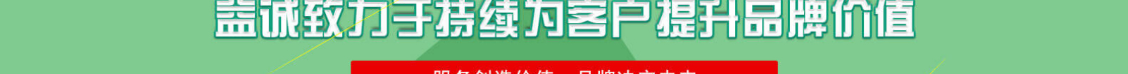 網(wǎng)站建設(shè)設(shè)計案例_營銷型網(wǎng)站制作案例