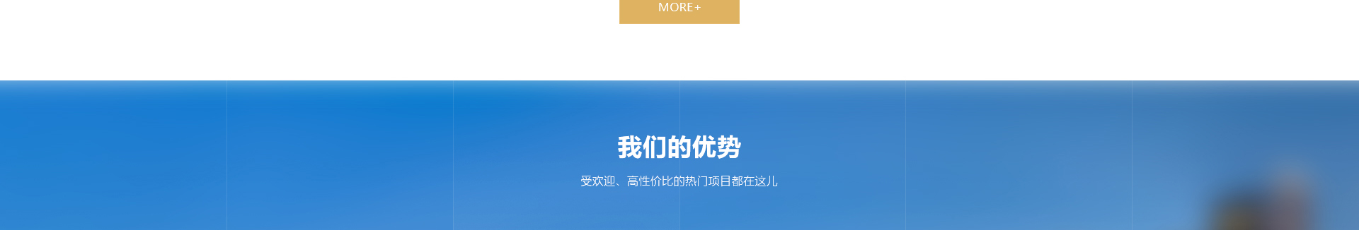 中鑫海外集團_集團網站建設案例_洛壹網絡建站案例